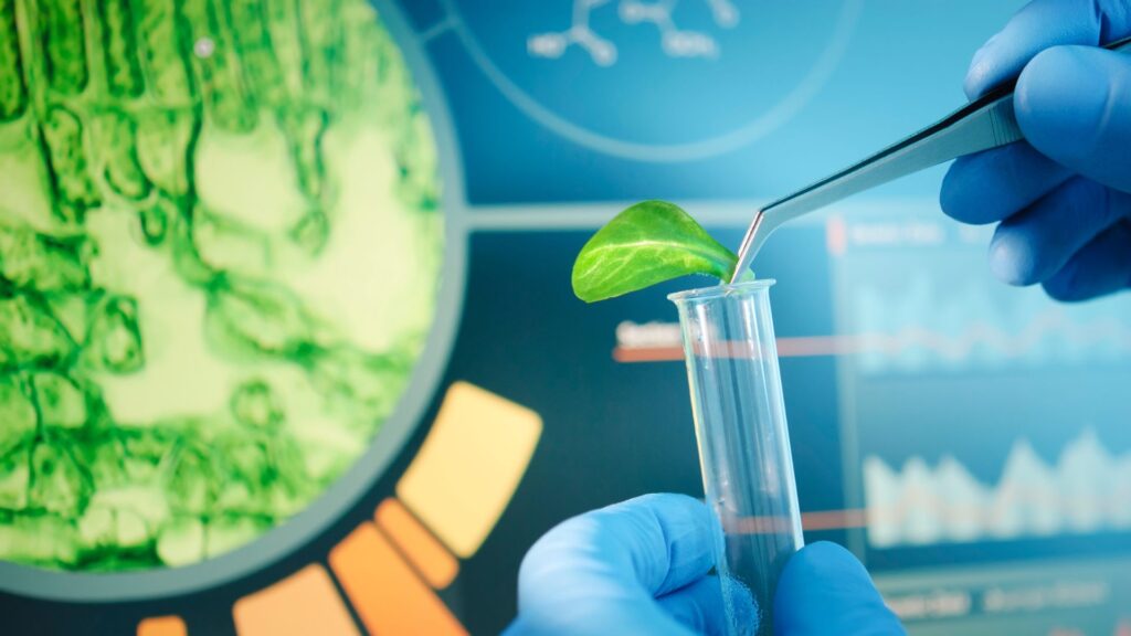 Biotecnologia no Brasil: por que e como investir nesse setor?