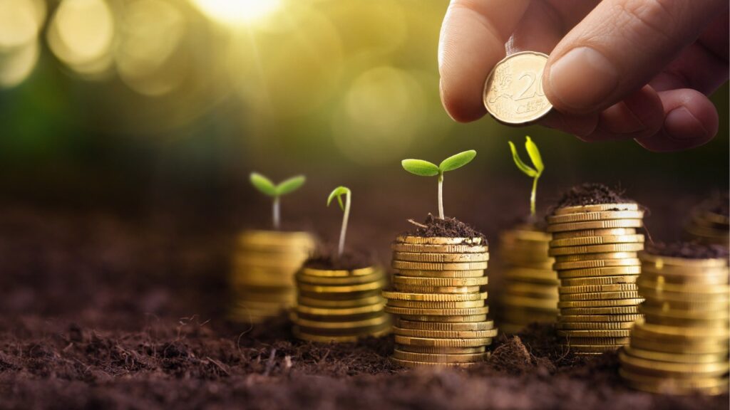 Quando vale a pena fazer investimento em CCB?