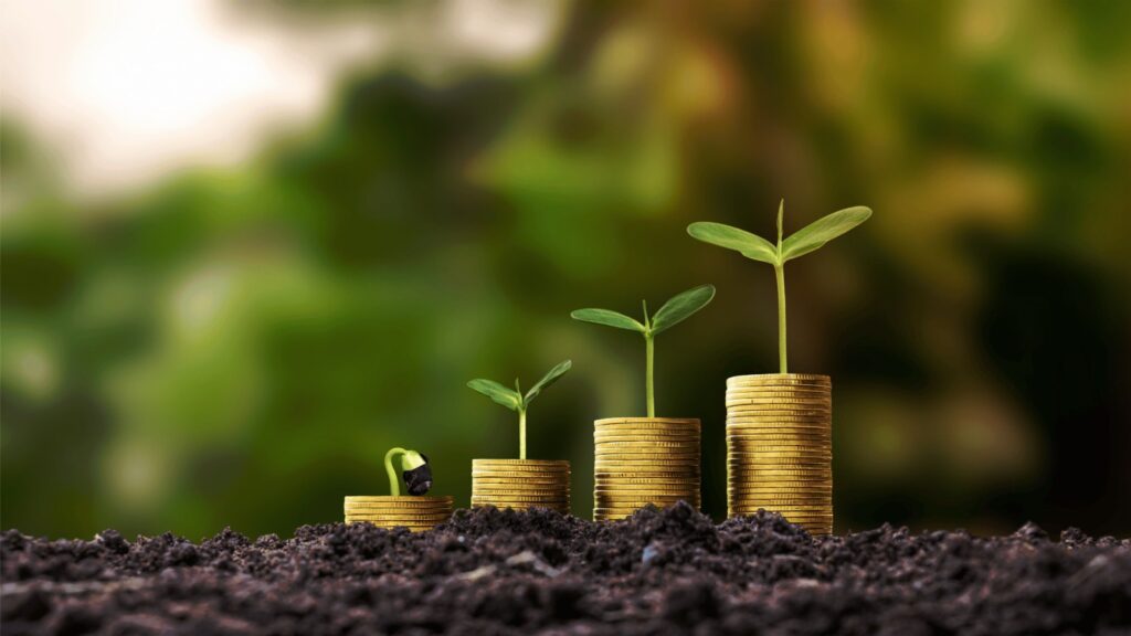 Investimento em agronegócio