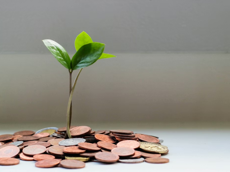 Foto ilustra investimento em precatórios