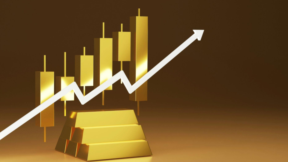 A imagem mostra um crescimento ascendente financeiro